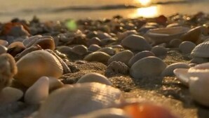 Eine Strandansicht mit Kieselsteinen und Muscheln, einem Sonnenuntergang und ruhigem Meer.
