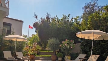 Piscina con sillas de descanso y sombrillas, rodeada de vegetación y una bandera.