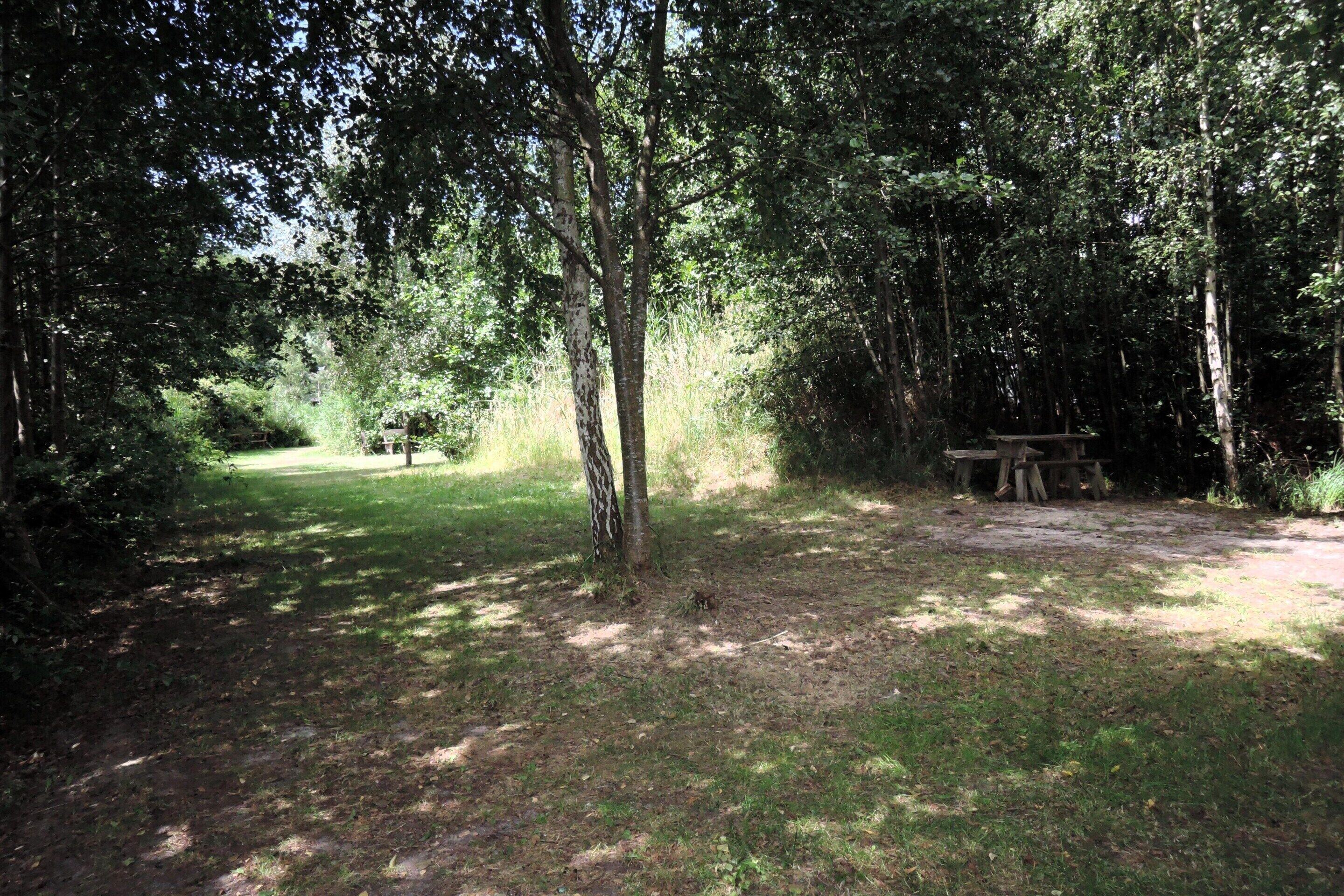 A forested campsite with a picnic table and a bench.