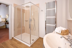 Shower, hair dryer, bidet, towels