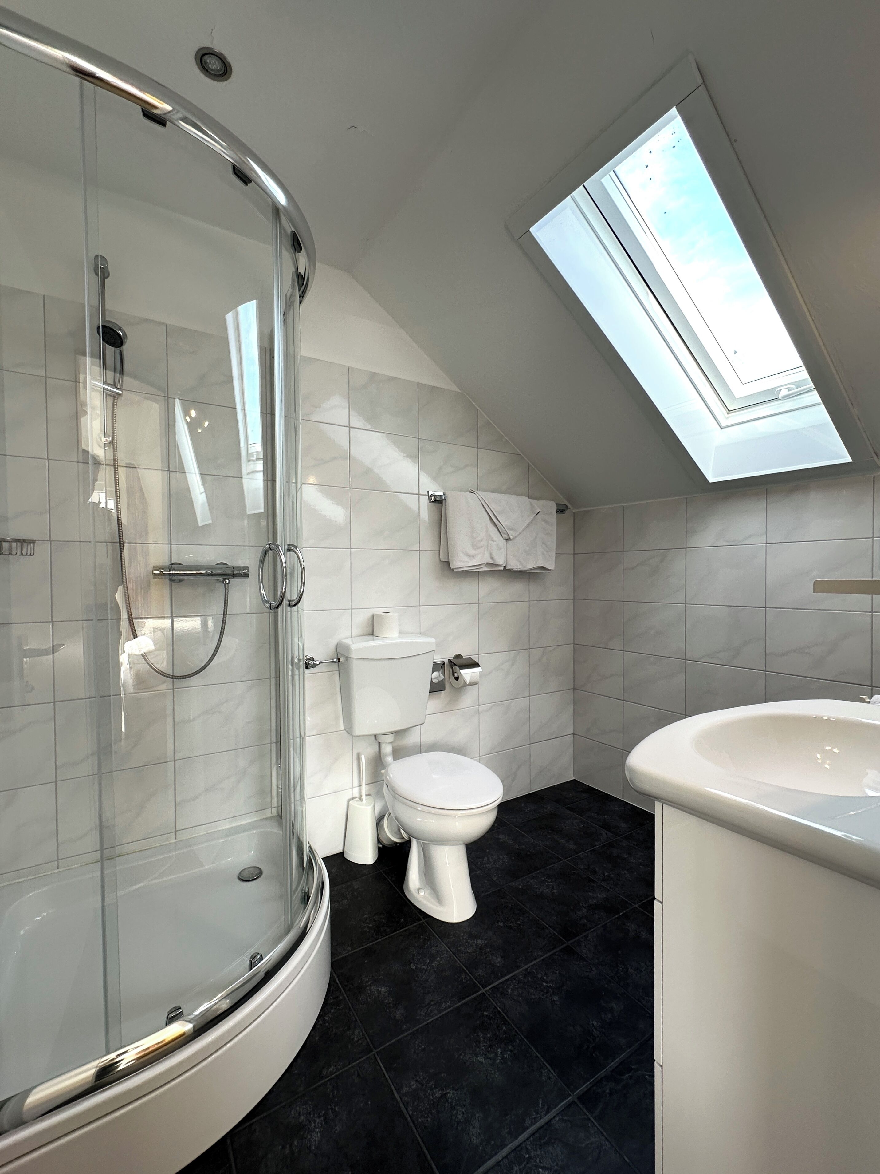 A modern bathroom with a glass-enclosed shower, a skylight, a toilet, and a sink.