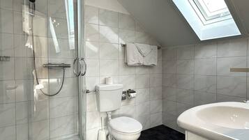 A modern bathroom with a glass-enclosed shower, a skylight, a toilet, and a sink.