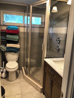 Hair dryer, towels, toilet paper