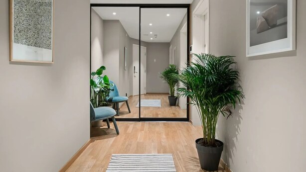 A hallway with a wooden floor, a potted plant, and a chair. - Cozy & Central studio in the royal heart of Oslo (Oslo)