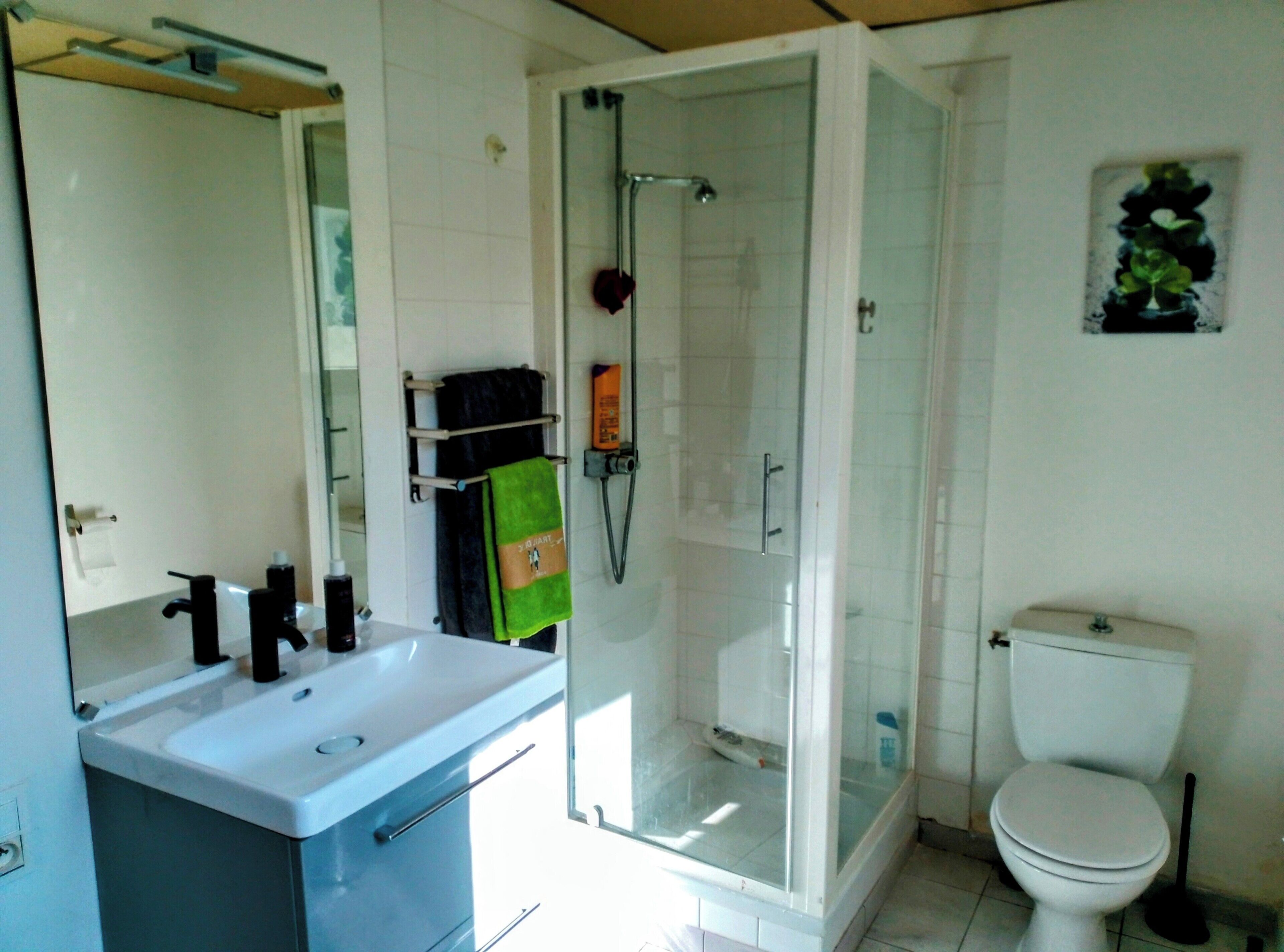 Hair dryer, towels, toilet paper