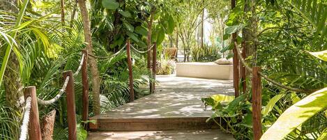 Terrein van de accommodatie