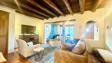 TV, fireplace, books