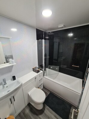 Hair dryer, towels, soap, toilet paper