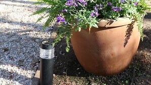A potted plant with purple flowers in a garden area with steps leading to a building. - High-End Private Suite with Deck & Mountain Views in Prime Marin County Location (Novato)
