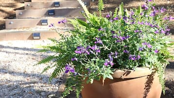 Details aan de buitenkant