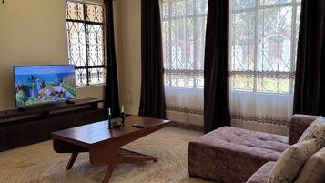 Een televisie en een open haard