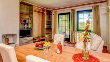 Smart TV, fireplace, books