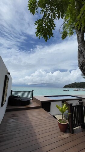 Arwana Perhentian Bluestar