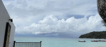 Arwana Perhentian Bluestar