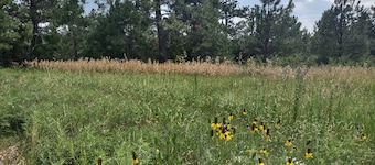 Two cozy cabins within charming Rosebud Reservation. Guided hunts, hiking.