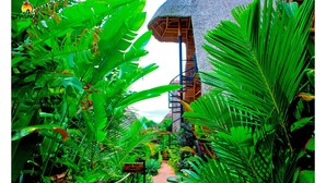 Un sendero verde y exuberante que conduce a una construcción de techo de paja con una escalera en espiral.