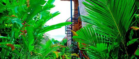 A lush green pathway leading to a thatched-roof structure with a spiral staircase.