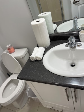 Shower, towels, soap, toilet paper