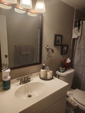 Hair dryer, towels, soap, toilet paper