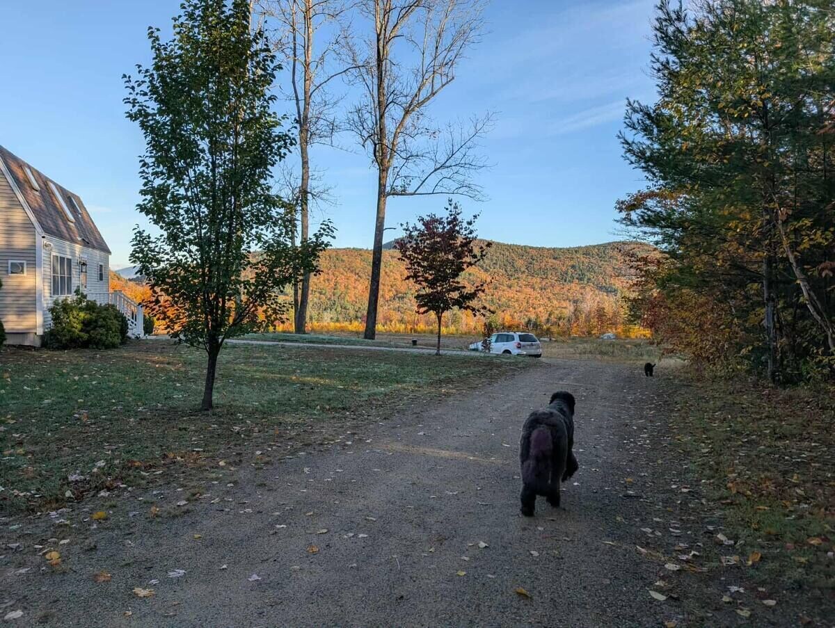 Foto de perfil del anfitrión