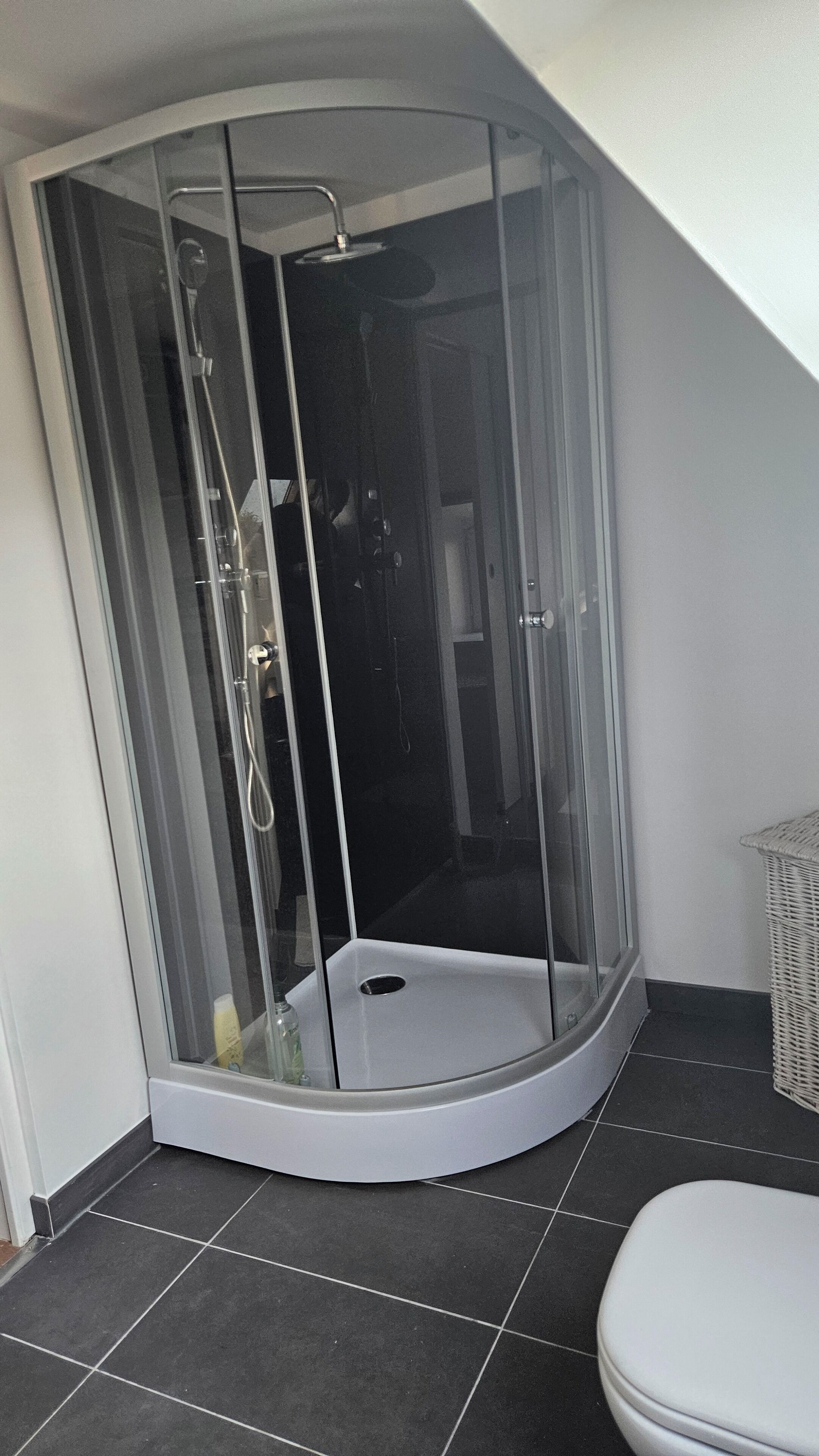 Eine Duschkabine mit Eckausführung, Glastür, einer weißen Toilette und einem Korbwannenstuhl.