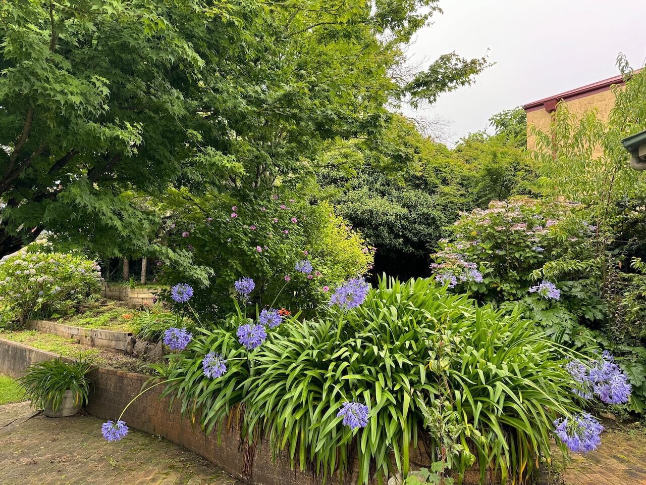 Jardines del alojamiento