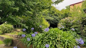A garden with various plants and flowers, a brick wall, and a building in the background. - Idlehour - central, cosy classic mountain cottage (Katoomba)