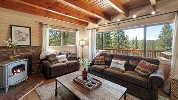 TV, fireplace, offices