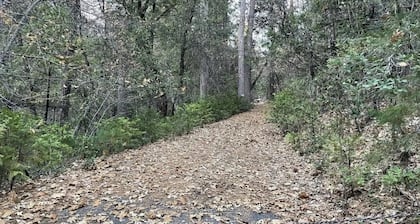 This campsite provides the ultimate outdoor experience!