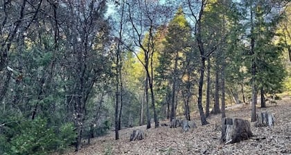 This campsite provides the ultimate outdoor experience!