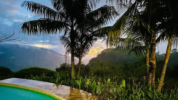 A swimming pool with a curved edge, surrounded by palm trees and lush greenery. - Getaway Charming 2-bedroom house secluded with Ocean Breeze (San José Province)