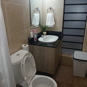 A bathroom with a toilet, sink, and a trash bin.