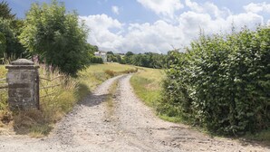 Un chemin de terre qui traverse la campagne et mène à une maison blanche entourée de verdure.