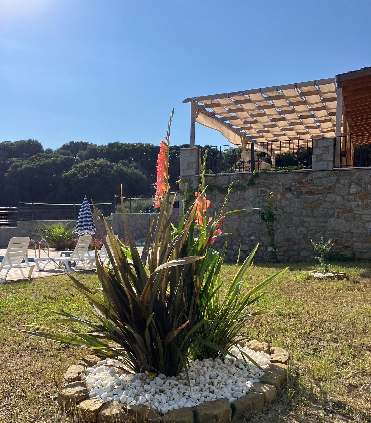 Un jardín con pérgola, muro de piedra y piscina con sillones de descanso.