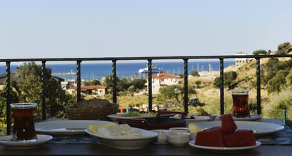 Rigani Gökçeada (+14)