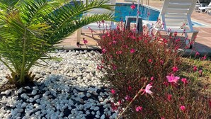 A pool area with lounge chairs and a striped umbrella, surrounded by pebbles and plants. - Rigani Gökçeada (+14)  (Gokceada)