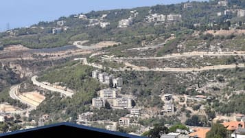 Family Apartment, Sea View | View from room