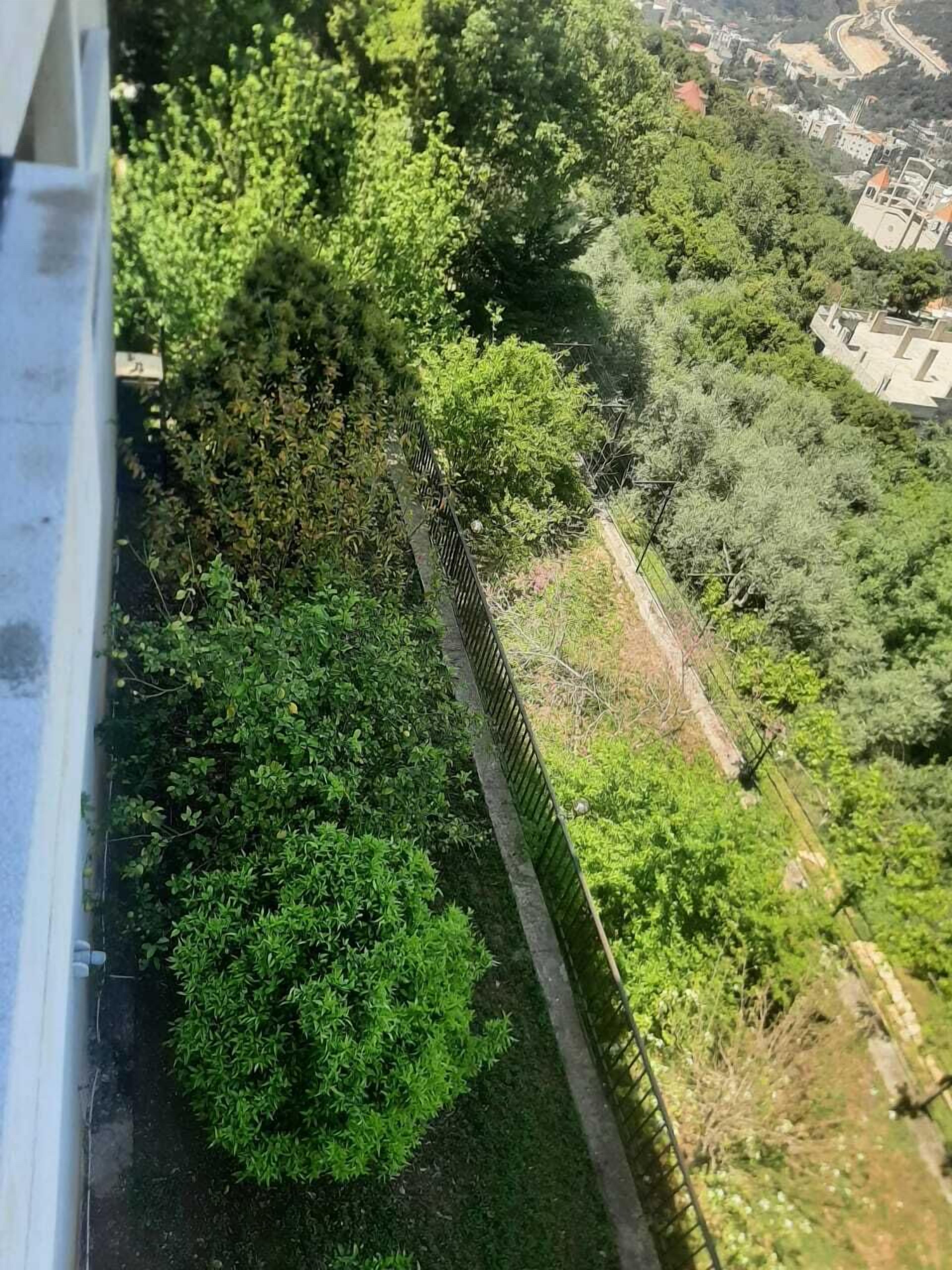 Vista de una zona verde exuberante con follaje denso y una valla de metal.