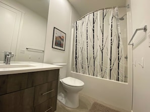 Shower, towels, toilet paper