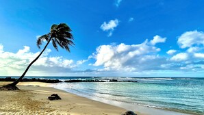 Una playa con una palmera, cielo azul despejado y mar tranquilo.
