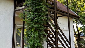 A house with a covered porch, a staircase, and a large tree growing over the porch. - Family friendly Private pool Quiet location, own garden Walking distance to Lake Balaton (Balatonföldvár)