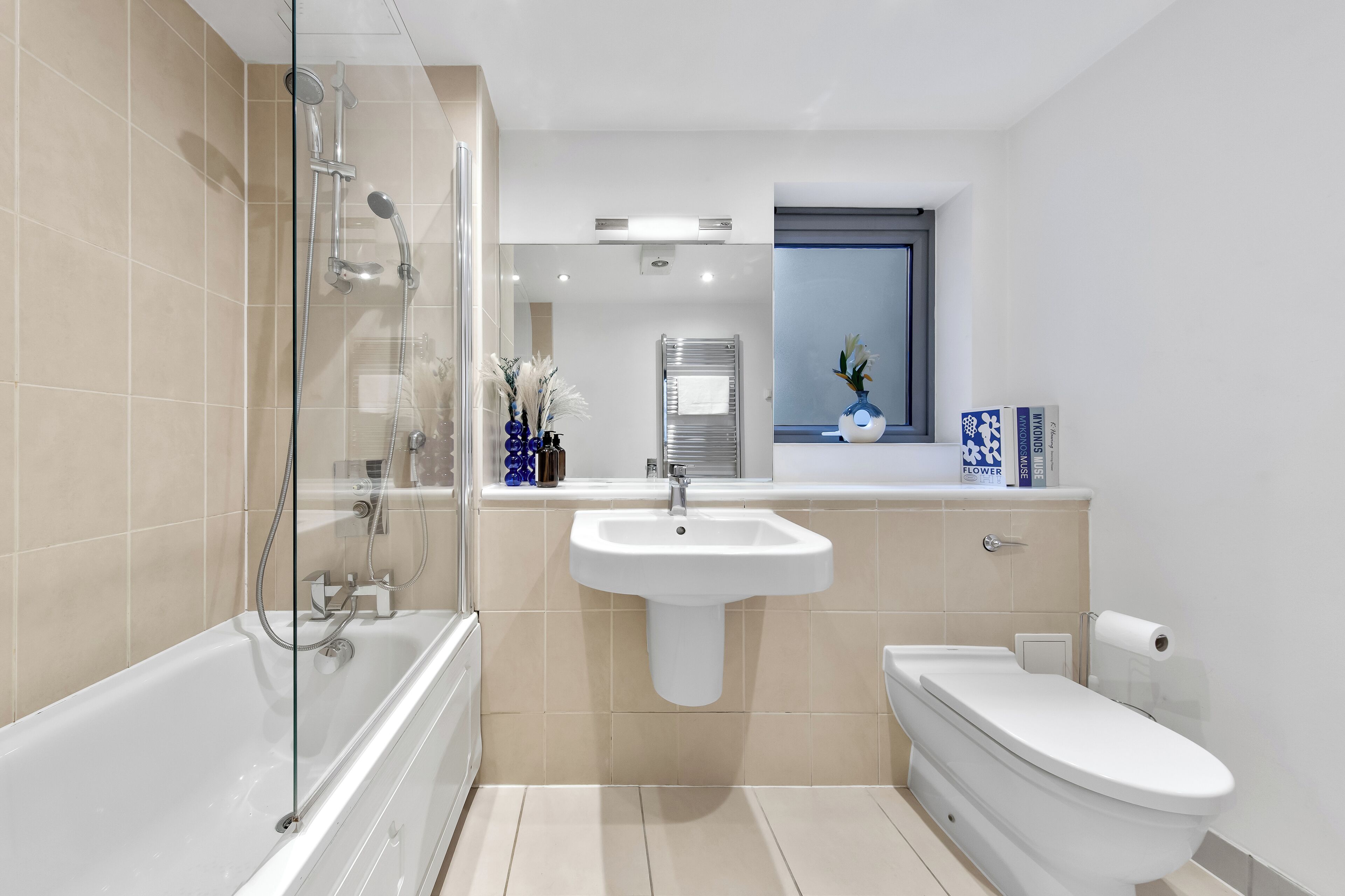 Hair dryer, towels, soap, toilet paper