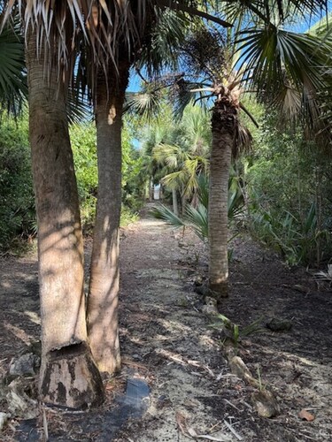 Cottage 6 - Charming 1-bedroom cottage-pool-tennis-walk to beach in Sandy Point