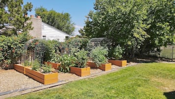 Área da propriedade