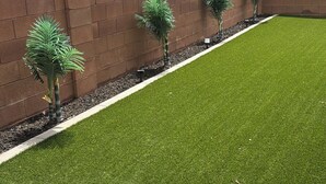 A well-maintained lawn with a brick wall and three small trees.