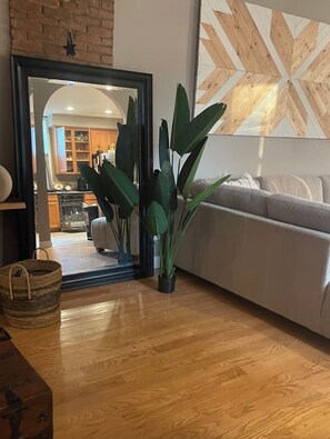 TV