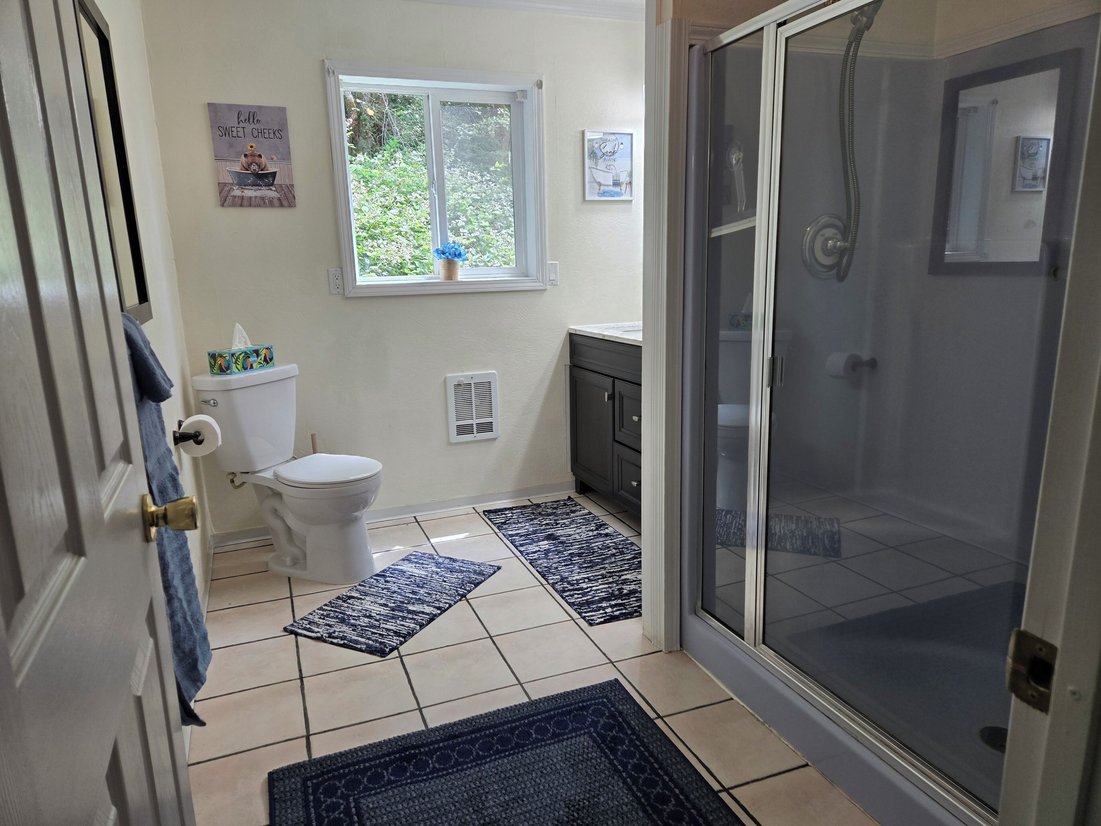 Une salle de bain avec des toilettes, une fenêtre, une douche et un tapis.