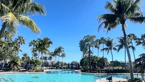 A clear blue pool surrounded by palm trees and lounge chairs, with a clear sky above. - SW FL Vacation Paradise! Minimum 1 week stay, long term renters welcome.  (Fort Myers)
