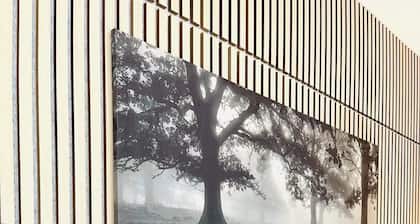 Cozy Studio downtown Carson, near Tahoe/Reno