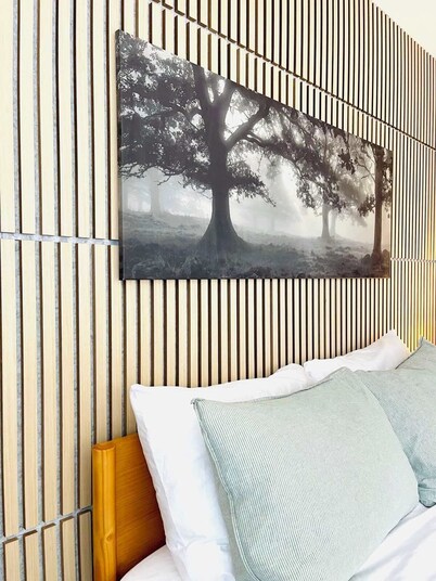 Cozy Studio downtown Carson, near Tahoe/Reno